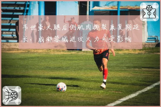 韦世豪大腿后侧肌肉撕裂康复期延长,成都蓉城进攻火力或受影响