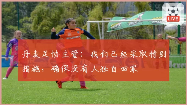 丹麦足协主管:我们已经采取特别措施,确保没有人独自回家