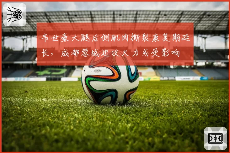 韦世豪大腿后侧肌肉撕裂康复期延长,成都蓉城进攻火力或受影响