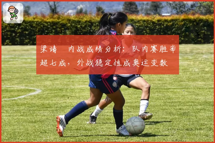 梁靖崑内战成绩分析:队内赛胜率超七成,外战稳定性成奥运变数
